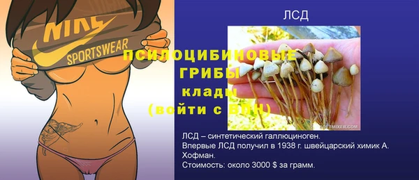дмт Аркадак