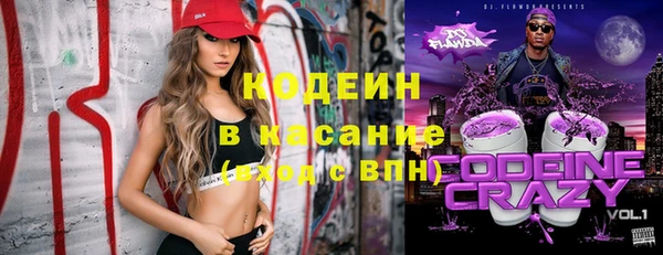 гашик Арсеньев