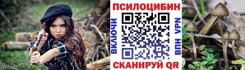 Псилоцибиновые грибы мухоморы  Кадников 